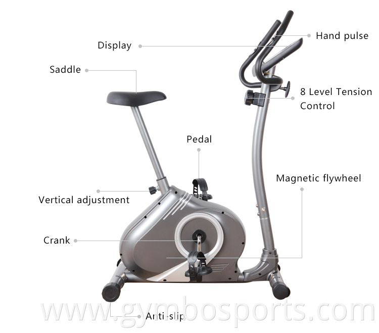 Indoor Trainer Best Magnetic Fitness 2-ways Flywheel Body Fit Exercise Bike